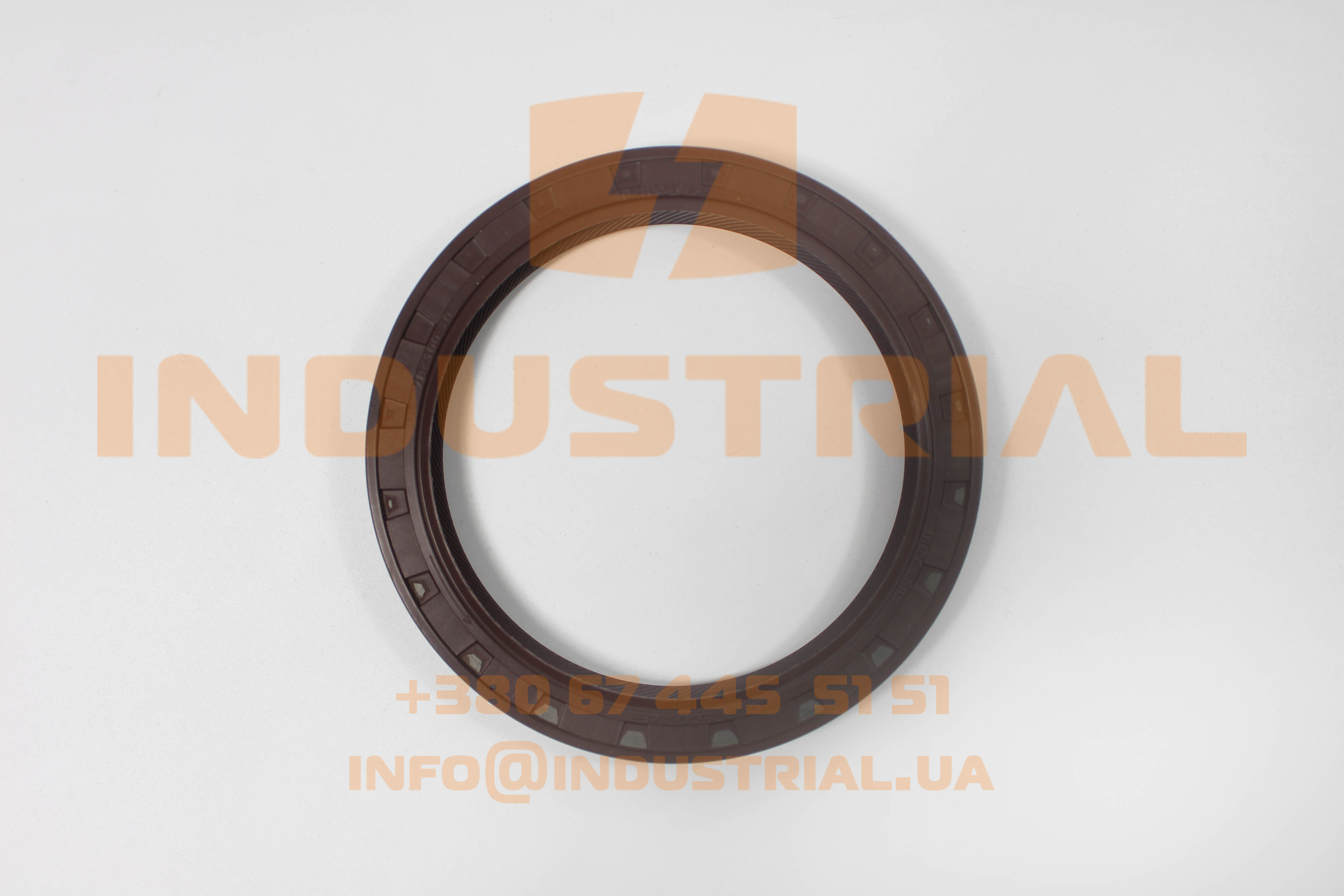 CNH 5564548 CNH INDUSTRIAL (IVECO)